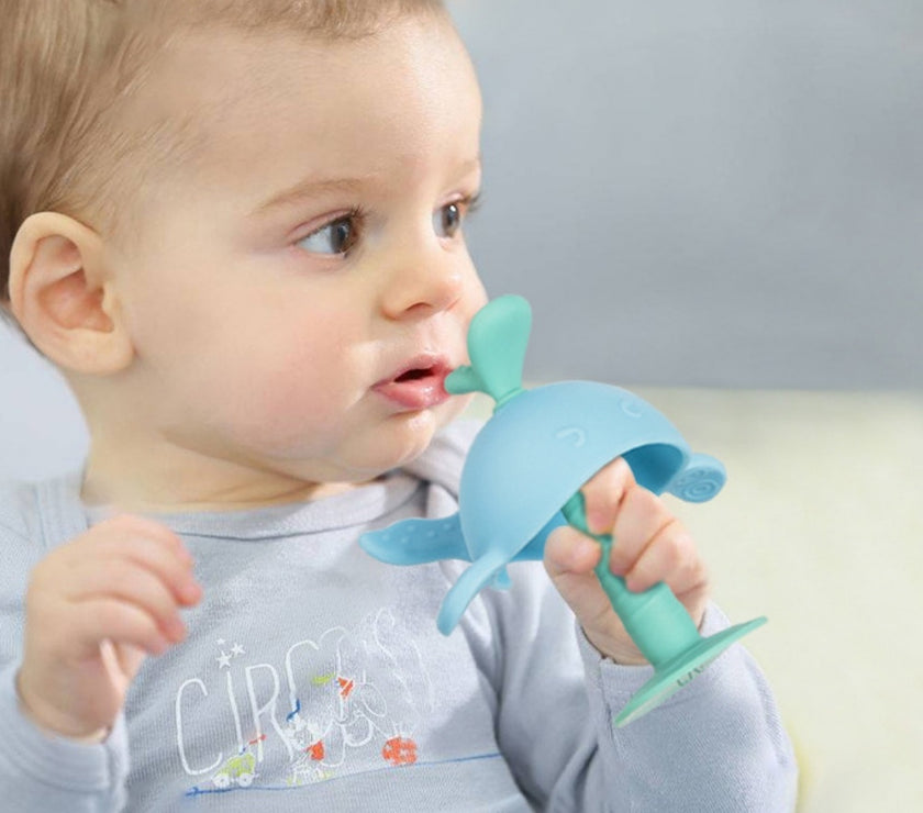 Baby Teething Toys For Newborn Infants Safe Infant And Toddler Silicone Teethers Soothe Babies Gums Perfect Baby Shower Gift
