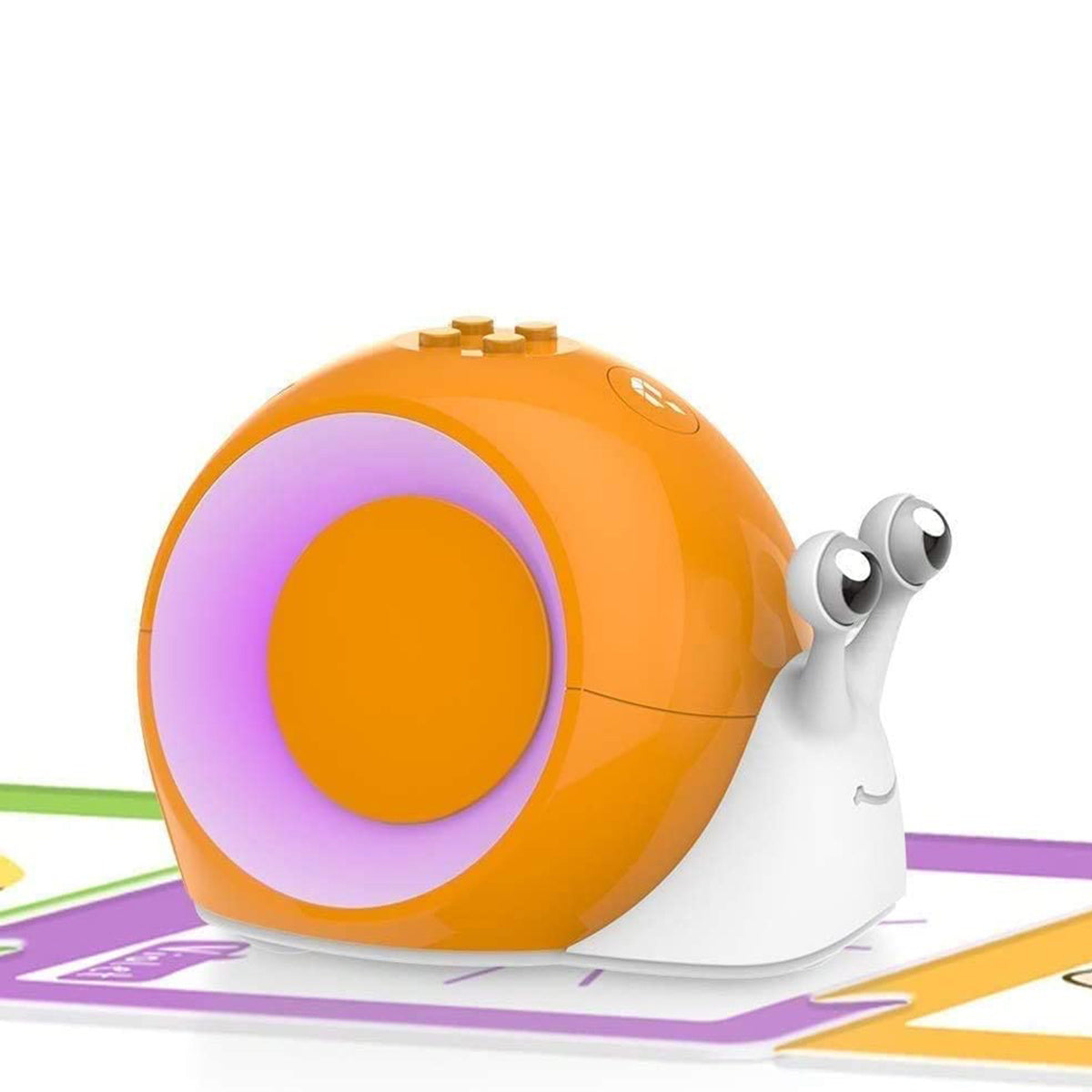 Children's Cognitive Card Montessori Early Education Educational Toys